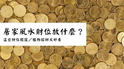 今年財位|2024 居家風水財位放什麼？選這些財位擺設／植物招。